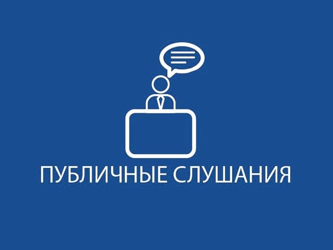 Публичные слушания по исполнению бюджета.